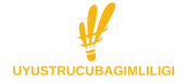 Peşəkar Bədmintonçuların Uğurları və Reytinqləri_logo